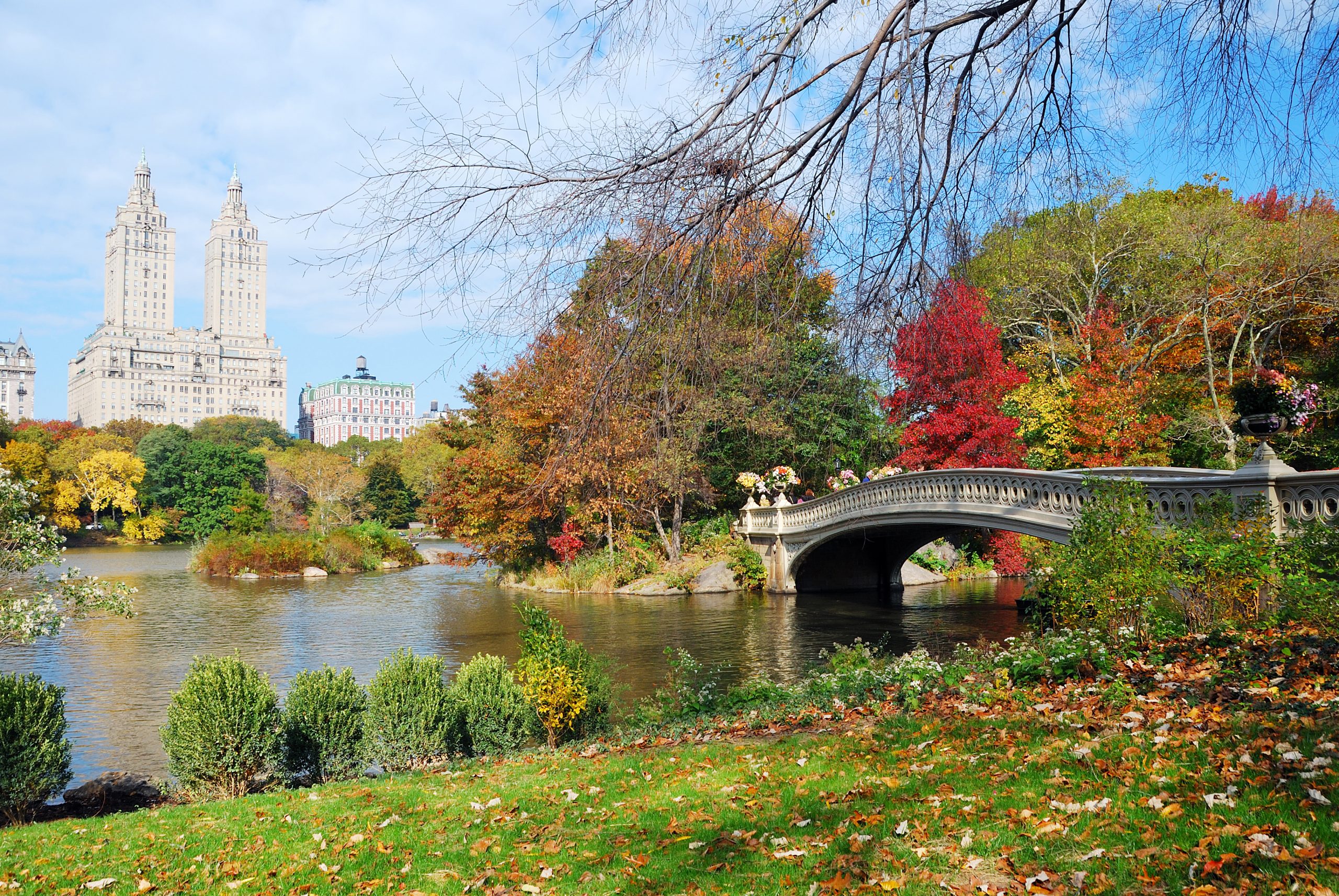 Central Park in fall colors.
One of the best free things to do in new york. best things to do in nyc
