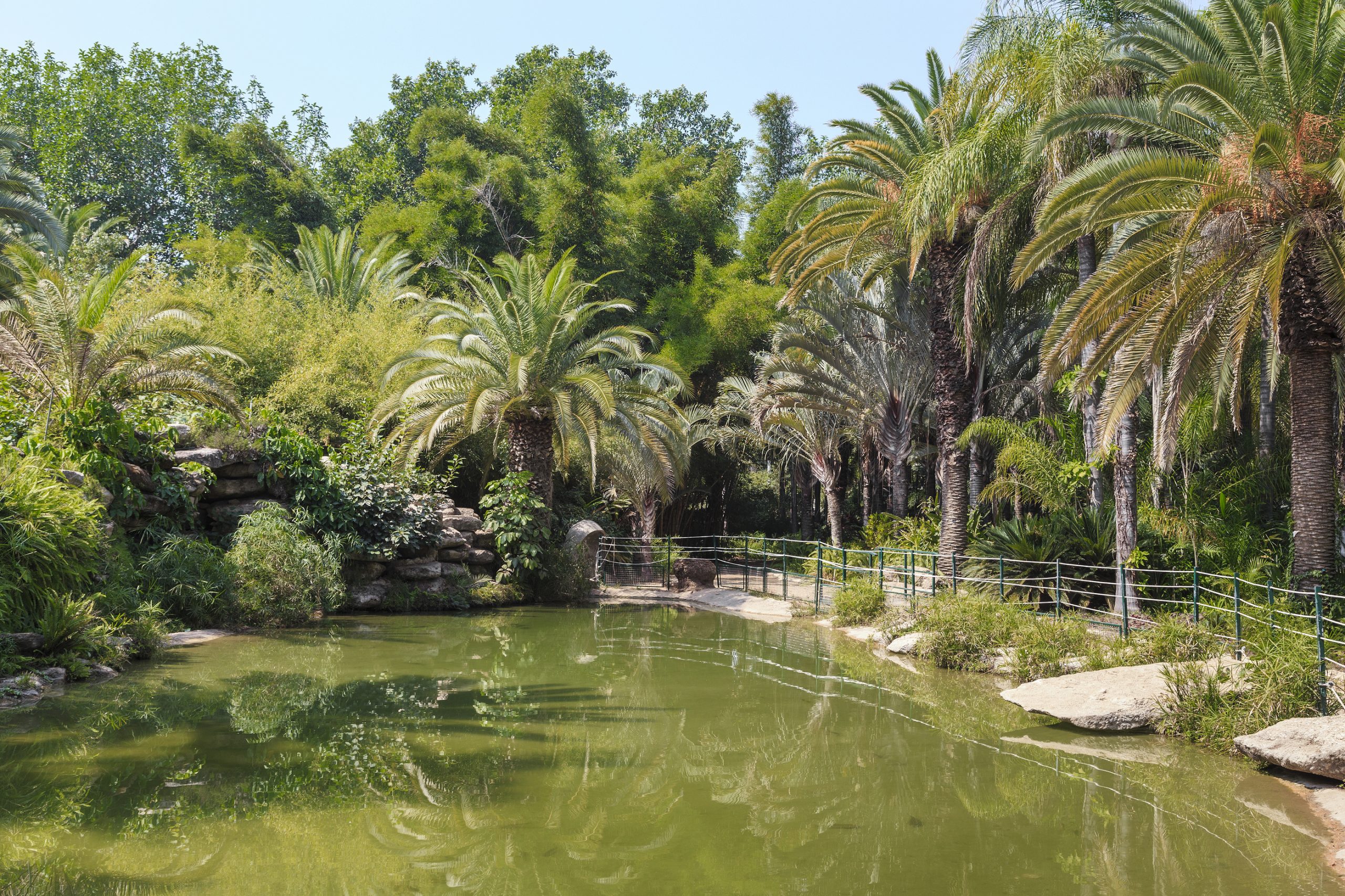The Tropical Garden of the Yarkon Park - tel aviv top 10
