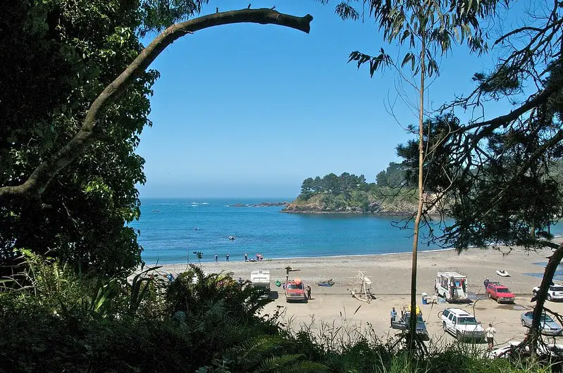 Van Damme State Park - best campsites california. best camping ca