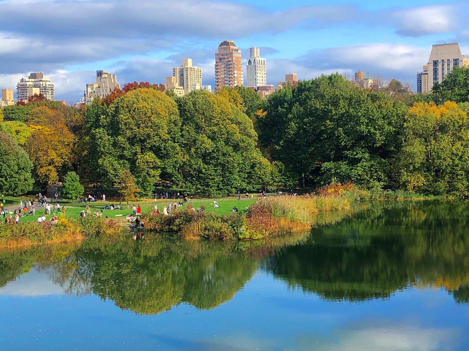 Want to know how living in new york is? magical!